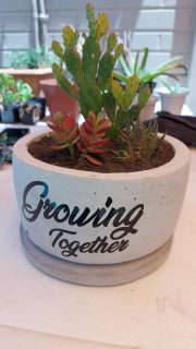 Round Cement Planter & Vinyl