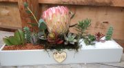 Floral & Succulent Arrangement in Wooden Box