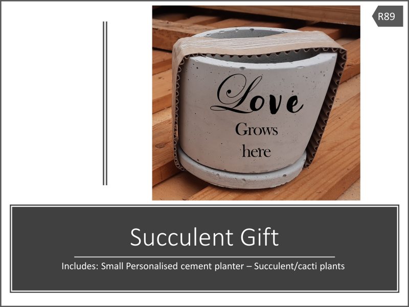 Round Cement Planter & Vinyl - Image 6