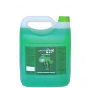 Natural Bathroom Cleaner