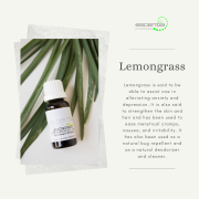 Escentia Lemongrass Essential Oil - Organic