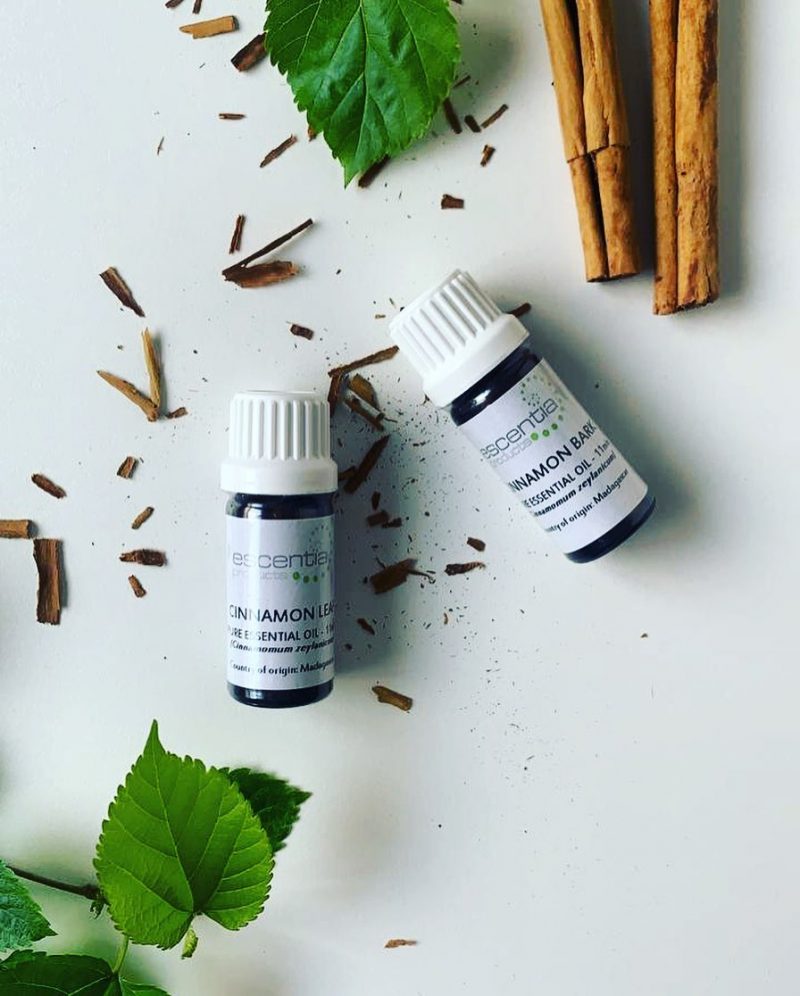 Escentia Pure Cinnamon Leaf Essential Oil