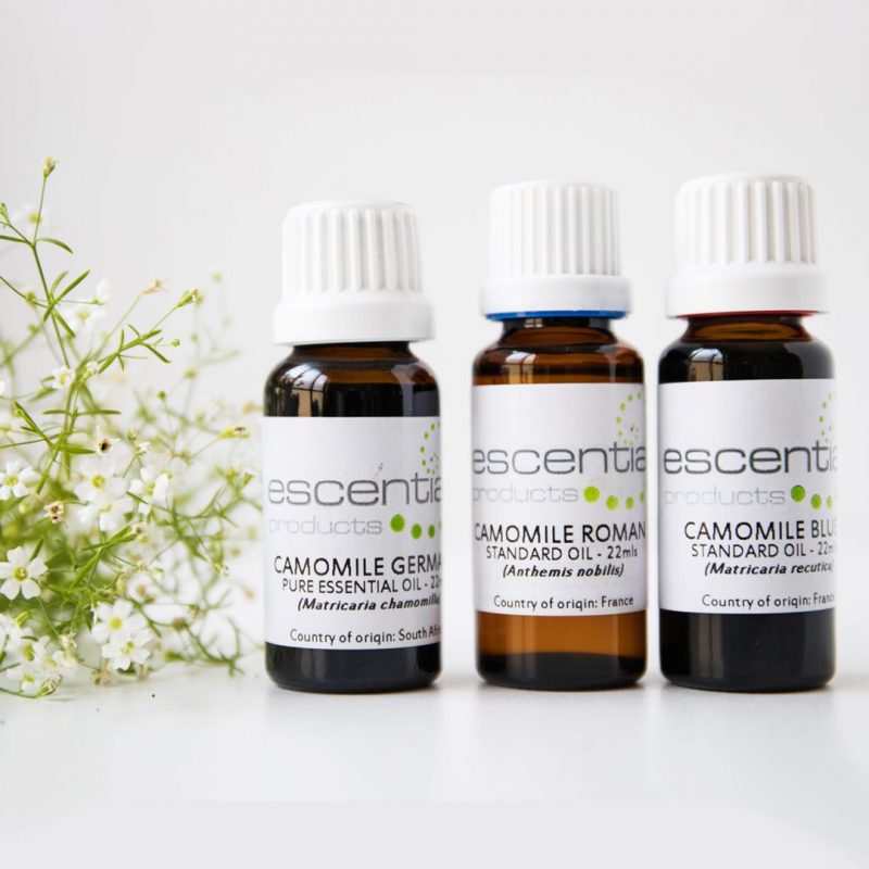 Escentia Camomile Roman Standard Oil