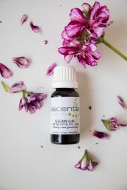 Escentia Geranium Essential Oil- Organic