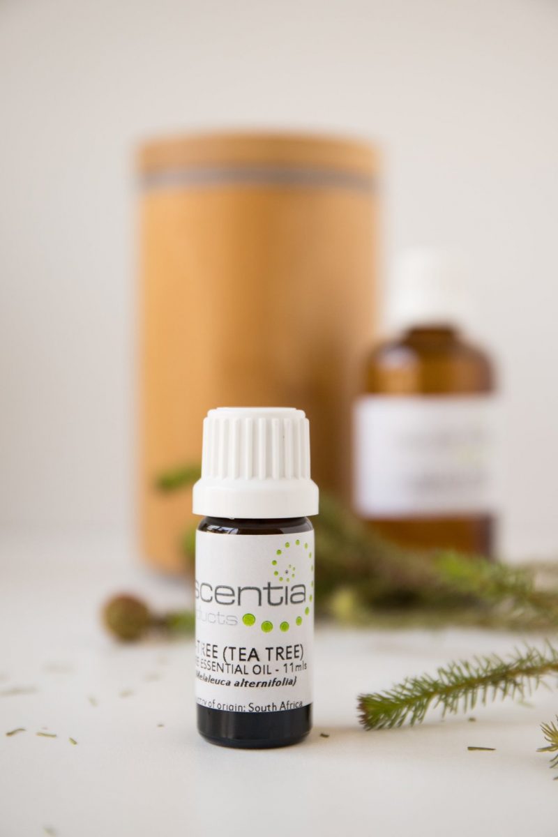 Escentia Ti-Tree (Tea Tree) Essential Oil - Organic