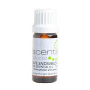 Escentia Pure Cape Snowbush Essential Oil