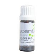 Escentia Clove Bud Essential Oil - Organic