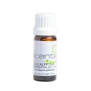 Escentia Pure Eucalyptus (Globulus) Essential Oil