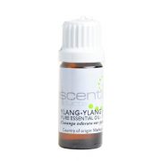 Escentia Ylang Ylang Essential Oil - Organic