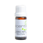 Carrot Seed Essential Oil