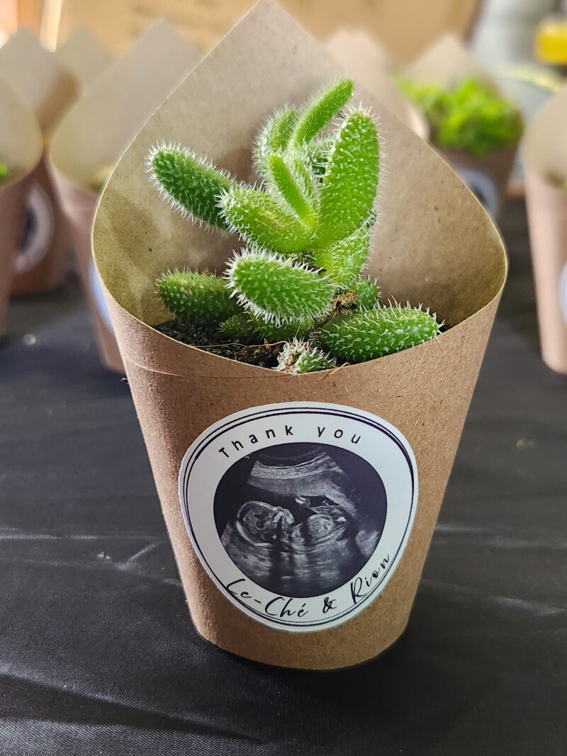 Wrapped Succulent Favour with sticker - Image 6