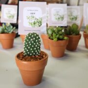 Terracotta Pot Favour with tag