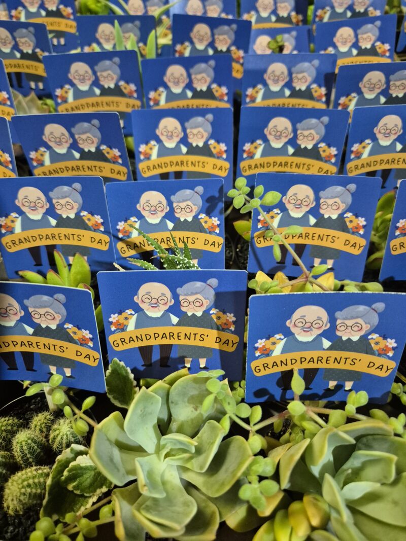 Succulent Favour with tag - Image 2