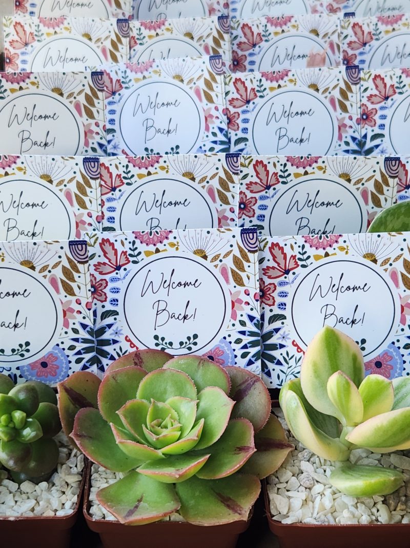 Succulent Favour with tag - Image 8