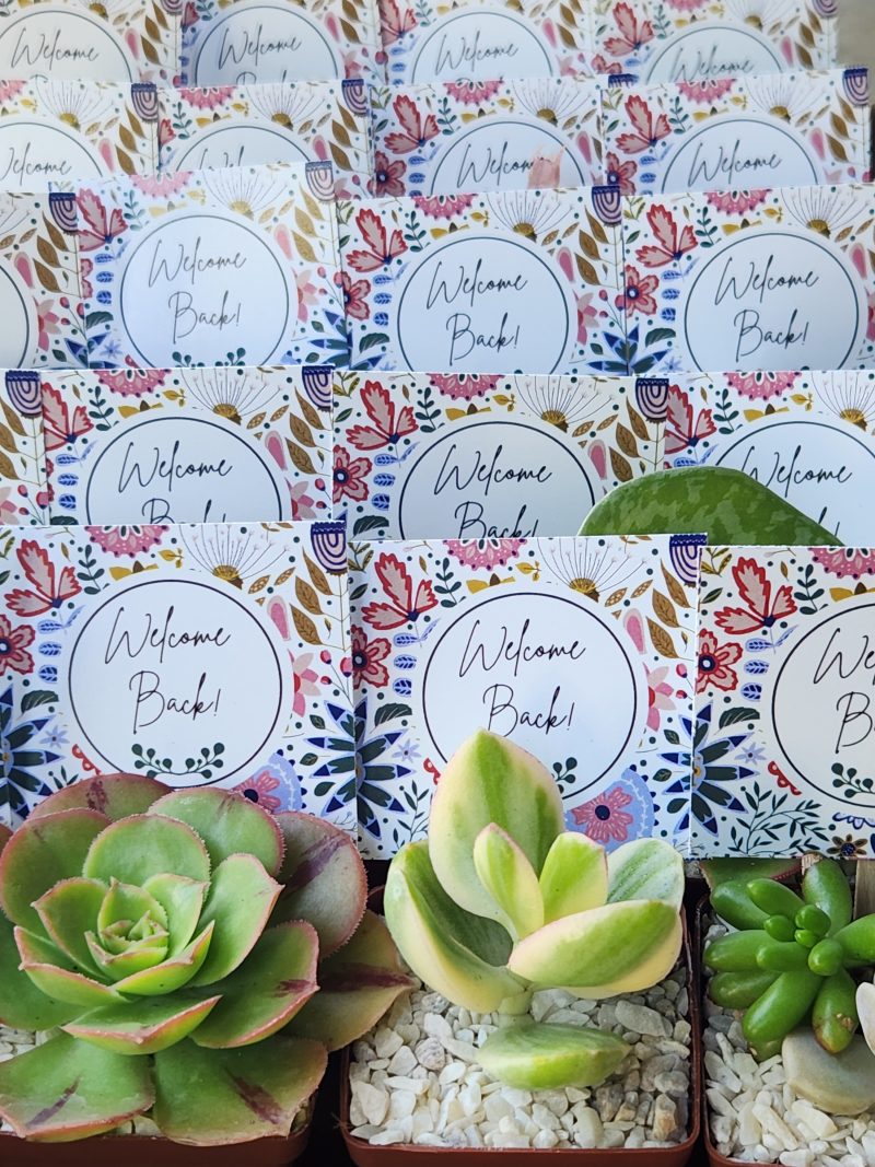 Succulent Favour with tag - Image 11